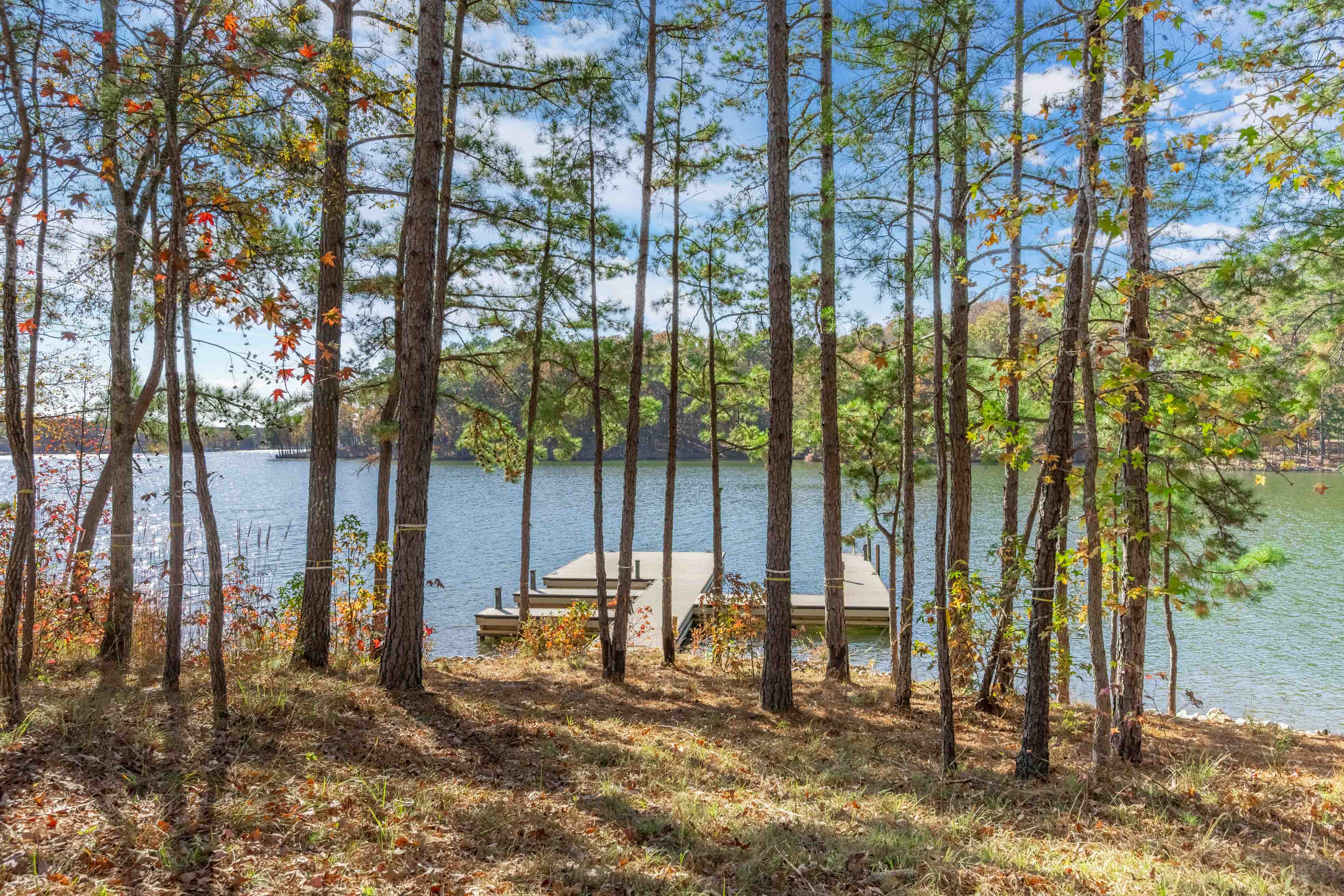 1077 Painted Bunting Drive image 11